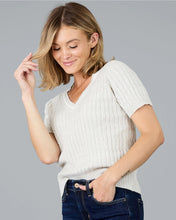 Load image into Gallery viewer, Varsity V-Neck Sweater
