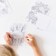 Load image into Gallery viewer, Woodland Coloring Postcards | Set of 14
