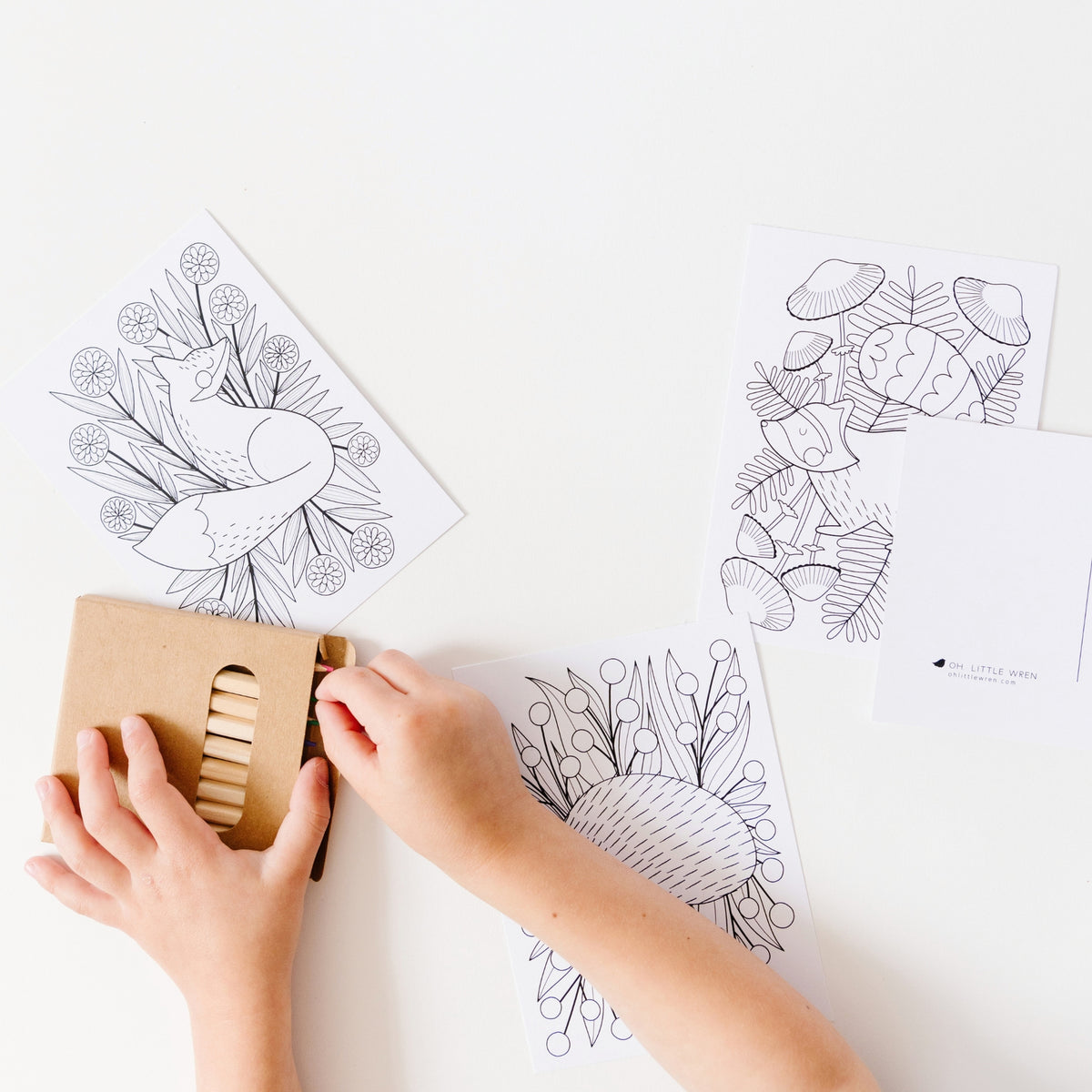 Woodland Coloring Postcards | Set of 14 – Thread By Thread Boutique